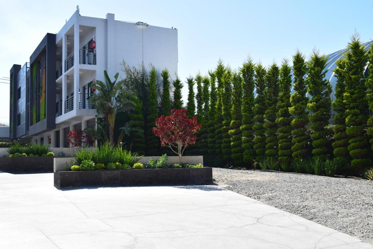 Hotel Pacific Tijuana Exterior photo